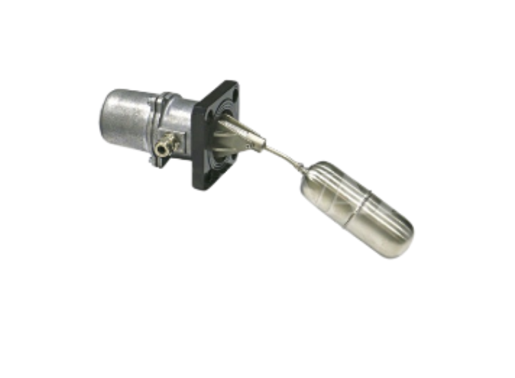 Đo Mức Dạng Phao C-4