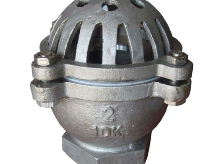 VAN CHÂN INOX KẾT NỐI REN ARITA/ ARITA SS-Foot-Valve-Screwed End