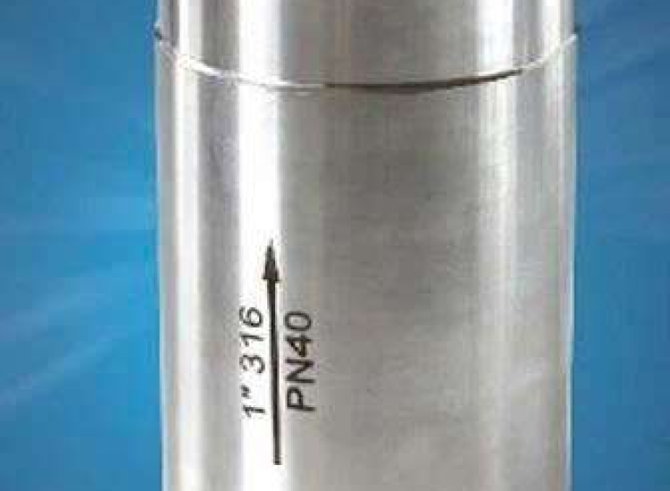 VAN 1 CHIỀU ĐỨNG LÒ XO INOX 316 ĐÚC, 2 MẢNH, REN BSPT