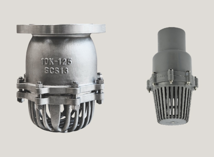 RỌ BƠM INOX 304 – 316 | DN40 – DN500 - MẶT BÍCH - LẮP REN 