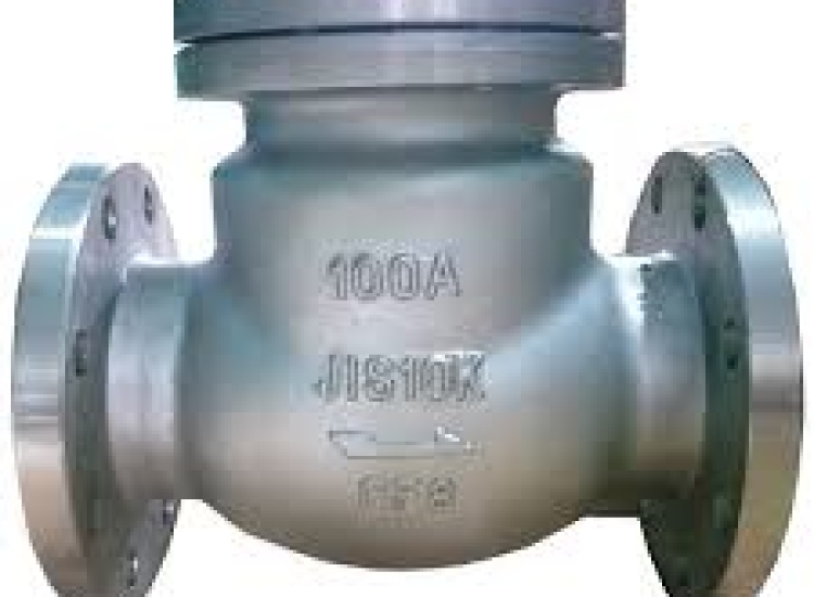  VAN 1 CHIỀU INOX (STAINLESS STEEL CHECK VALVE) 