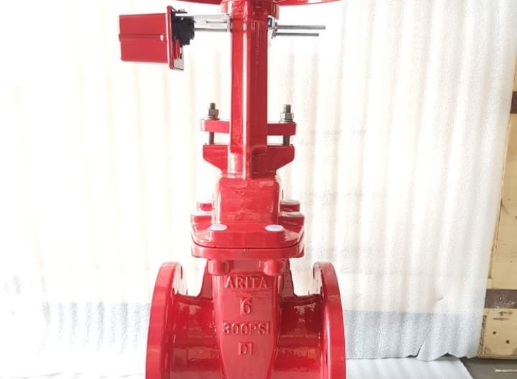 VAN CỔNG TY CHÌM TIÊU CHUẨN UL-FM/ UL-FM-GATE VALVE NRS FLANGE END AFF RGA-32FF-250