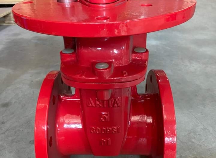 VAN CỔNG UL-FM RS BÍCH KẾT ( AFF-RGA-33FF-250)/ UL-FM-GATE-VALVE-RS-FLANGE-END-AFF-RGA-33FF-250